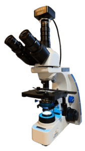 Modernes Dunkelfeldmikroskop zur Diagnose in der Naturheilpraxis 7 Schwaben Heilpraktikerin